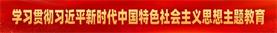 学习贯彻习近平新时期中国特色社会主义思想主题教育