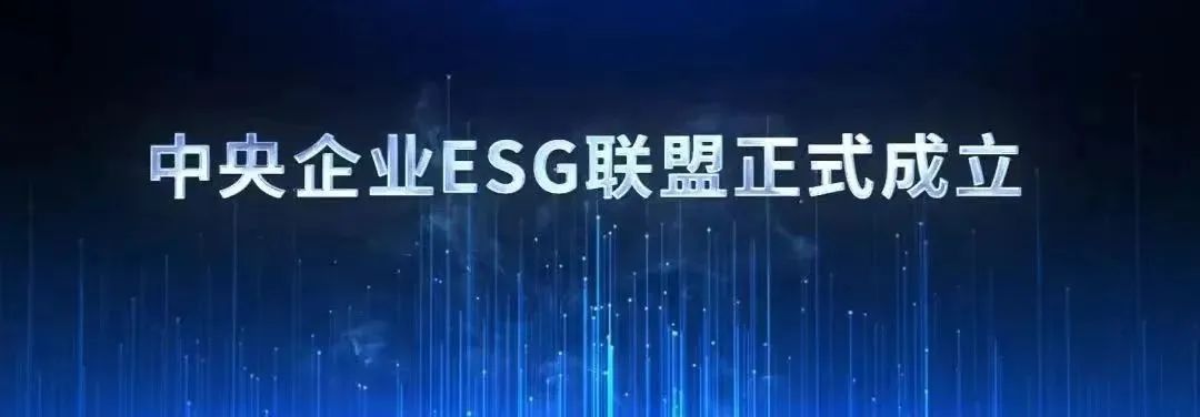 d651fe442041cef3