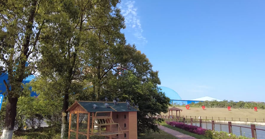 春来好时光，，，花圃工厂朝气勃勃
