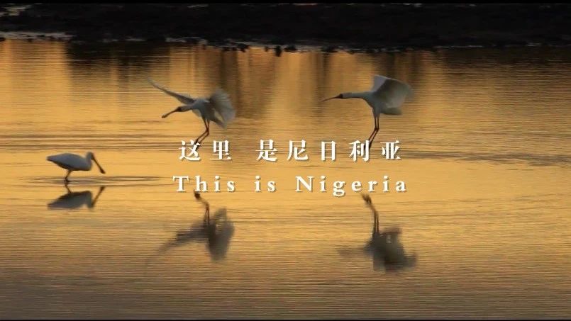 善用资源盛开日 | 中材国际尼日利亚从“相通”走向“深融”：：带您“云看”外洋项目部的一天