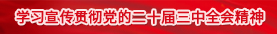 学习宣传贯彻党的二十届三中全会心灵