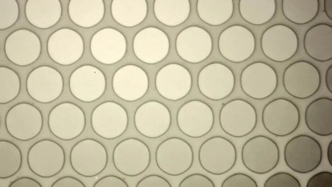 2021051909251348227